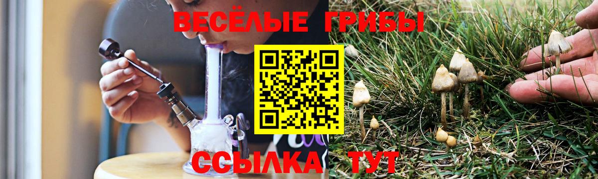 Светлоград  Галлюциногенные грибы ЛСД  Вход с VPN 