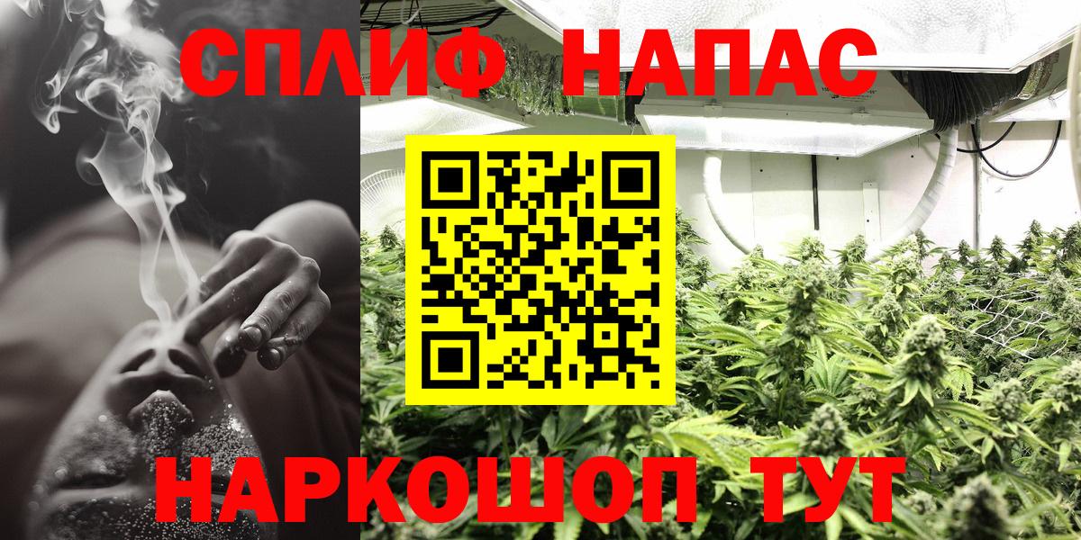 Конопля ГИДРОПОН Светлоград